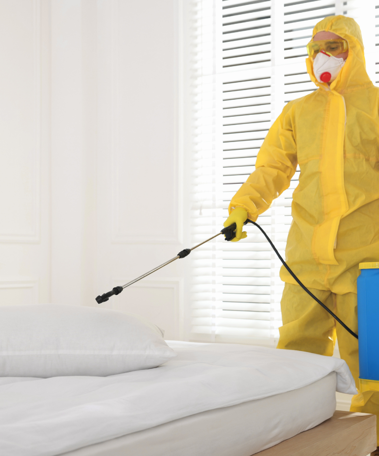 Professional Pest Control Team in Highgate